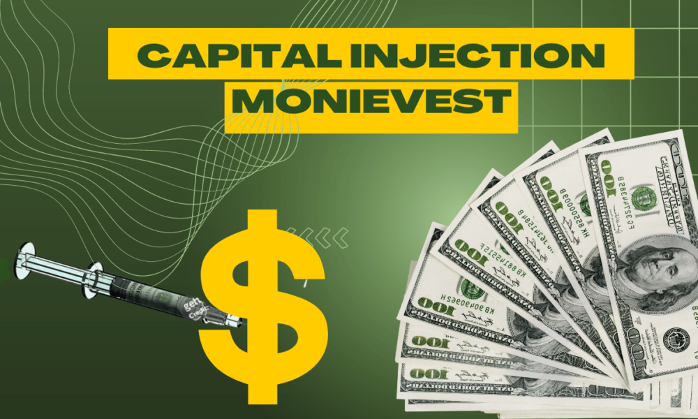 Exploring the Benefits and Risks of Capital Injection Monievest